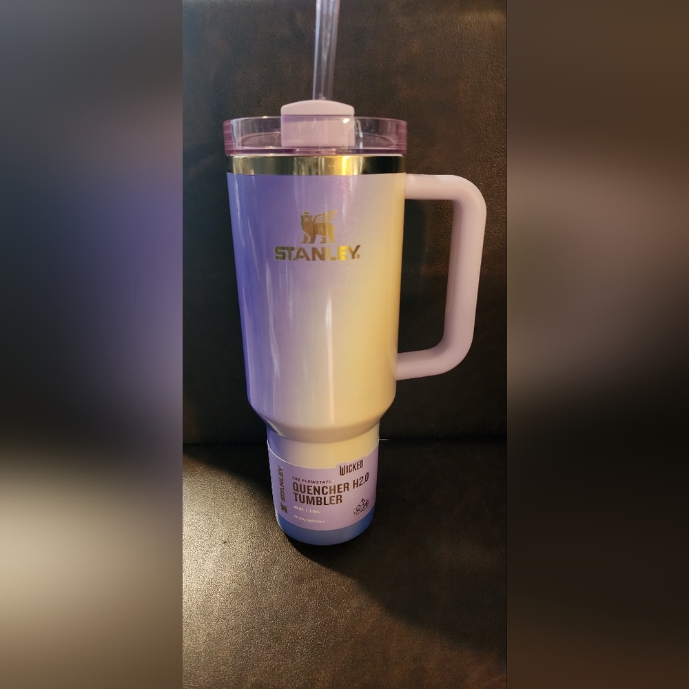 Wicked Edition Stanley 40 Oz Tumbler